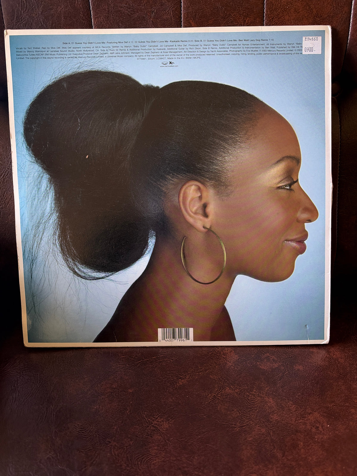 Terri Walker – Guess You Didn't Love Me (2003)