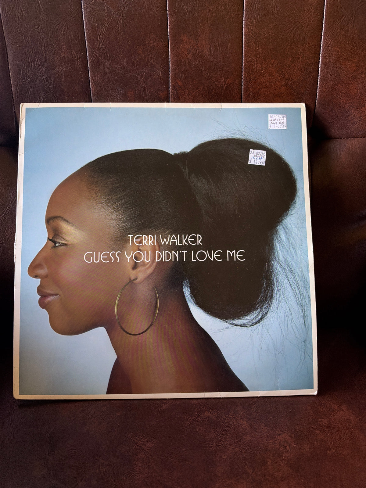 Terri Walker – Guess You Didn't Love Me vinyl single cover